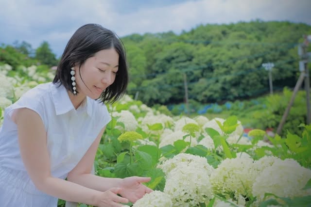 白い紫陽花の中に佇むあずまる